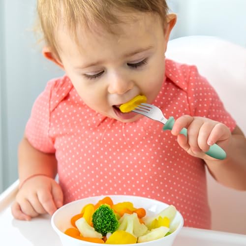 Perfect Toddler Flatware Set for Self-Feeding